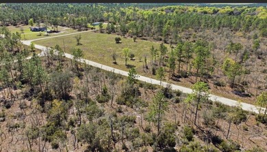 WILLISTON HIGHLANDS GOLF & COUNTRY CLUB ESTATES BUILDING LOT on Williston Highlands Golf and Country Club in Florida - for sale on GolfHomes.com, golf home, golf lot