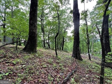 Land for Sale - Build Your Mountain Retreat in Bent Tree Don't on Bent Tree Golf Course in Georgia - for sale on GolfHomes.com, golf home, golf lot