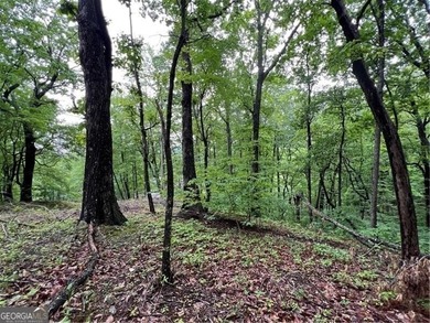 Land for Sale - Build Your Mountain Retreat in Bent Tree Don't on Bent Tree Golf Course in Georgia - for sale on GolfHomes.com, golf home, golf lot