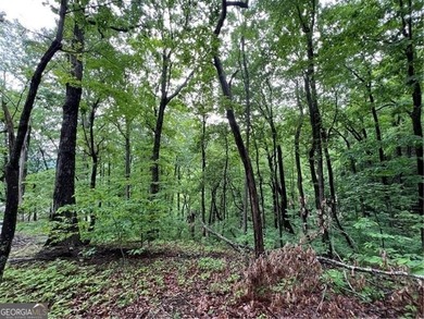 Land for Sale - Build Your Mountain Retreat in Bent Tree Don't on Bent Tree Golf Course in Georgia - for sale on GolfHomes.com, golf home, golf lot