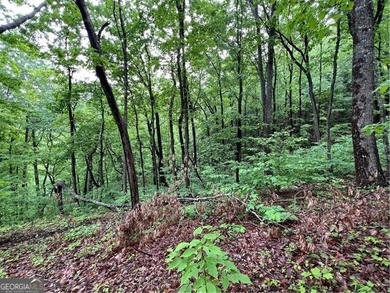 Land for Sale - Build Your Mountain Retreat in Bent Tree Don't on Bent Tree Golf Course in Georgia - for sale on GolfHomes.com, golf home, golf lot