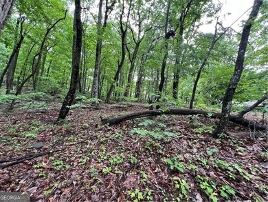 Land for Sale - Build Your Mountain Retreat in Bent Tree Don't on Bent Tree Golf Course in Georgia - for sale on GolfHomes.com, golf home, golf lot