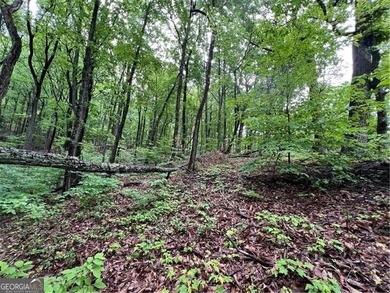 Land for Sale - Build Your Mountain Retreat in Bent Tree Don't on Bent Tree Golf Course in Georgia - for sale on GolfHomes.com, golf home, golf lot