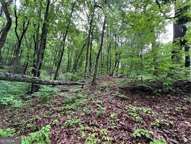 Land for Sale - Build Your Mountain Retreat in Bent Tree Don't on Bent Tree Golf Course in Georgia - for sale on GolfHomes.com, golf home, golf lot