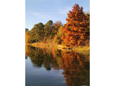 Charming Lakefront Home with Boat Dock & Stunning Sunsets
 on Lions Den Golf Club in Arkansas - for sale on GolfHomes.com, golf home, golf lot