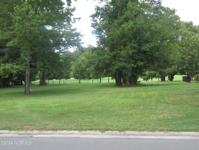 SPECIAL PRICE! PRICED TO SELL!!!! EVERYTHING YOU HAVE EVER on River Landing Golf Course in North Carolina - for sale on GolfHomes.com, golf home, golf lot