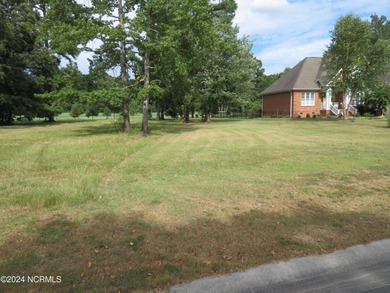 SPECIAL PRICE! PRICED TO SELL!!!! EVERYTHING YOU HAVE EVER on River Landing Golf Course in North Carolina - for sale on GolfHomes.com, golf home, golf lot