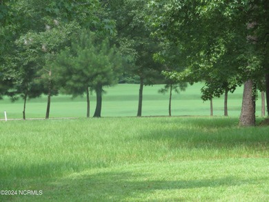 SPECIAL PRICE! PRICED TO SELL!!!! EVERYTHING YOU HAVE EVER on River Landing Golf Course in North Carolina - for sale on GolfHomes.com, golf home, golf lot