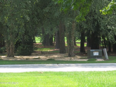 SPECIAL PRICE! PRICED TO SELL!!!! EVERYTHING YOU HAVE EVER on River Landing Golf Course in North Carolina - for sale on GolfHomes.com, golf home, golf lot