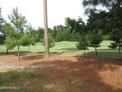 2024 CHRISTMAS SPECIAL!! START 2025 OFF BY STARTING YOUR DREAM on River Landing Golf Course in North Carolina - for sale on GolfHomes.com, golf home, golf lot