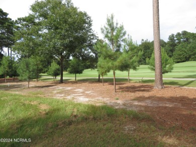 2024 CHRISTMAS SPECIAL!! START 2025 OFF BY STARTING YOUR DREAM on River Landing Golf Course in North Carolina - for sale on GolfHomes.com, golf home, golf lot