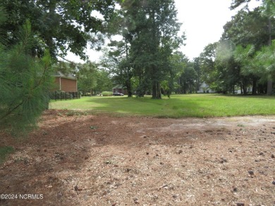 2024 CHRISTMAS SPECIAL!! START 2025 OFF BY STARTING YOUR DREAM on River Landing Golf Course in North Carolina - for sale on GolfHomes.com, golf home, golf lot