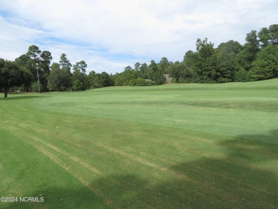 2024 CHRISTMAS SPECIAL!! START 2025 OFF BY STARTING YOUR DREAM on River Landing Golf Course in North Carolina - for sale on GolfHomes.com, golf home, golf lot