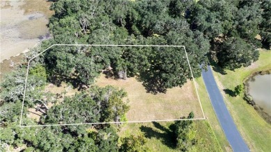 The ole sayin', He's not makin' anymore, so grab it while you on Sapelo Hammock Golf Club in Georgia - for sale on GolfHomes.com, golf home, golf lot