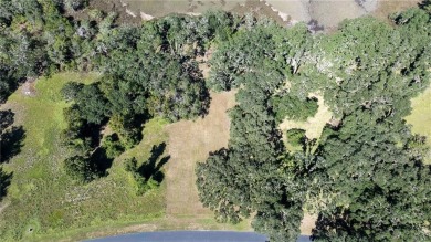 The ole sayin', He's not makin' anymore, so grab it while you on Sapelo Hammock Golf Club in Georgia - for sale on GolfHomes.com, golf home, golf lot