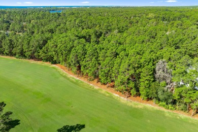 Discover the perfect opportunity to build your dream home in one on Sharks Tooth Golf Club in Florida - for sale on GolfHomes.com, golf home, golf lot