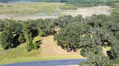 The ole sayin', He's not makin' anymore, so grab it while you on Sapelo Hammock Golf Club in Georgia - for sale on GolfHomes.com, golf home, golf lot