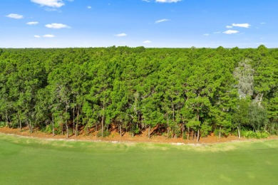 Discover the perfect opportunity to build your dream home in one on Sharks Tooth Golf Club in Florida - for sale on GolfHomes.com, golf home, golf lot