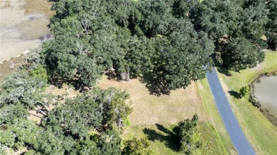 The ole sayin', He's not makin' anymore, so grab it while you on Sapelo Hammock Golf Club in Georgia - for sale on GolfHomes.com, golf home, golf lot