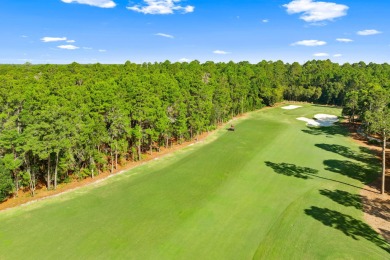 Discover the perfect opportunity to build your dream home in one on Sharks Tooth Golf Club in Florida - for sale on GolfHomes.com, golf home, golf lot