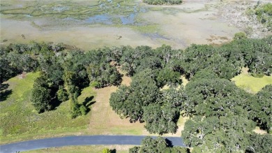 The ole sayin', He's not makin' anymore, so grab it while you on Sapelo Hammock Golf Club in Georgia - for sale on GolfHomes.com, golf home, golf lot