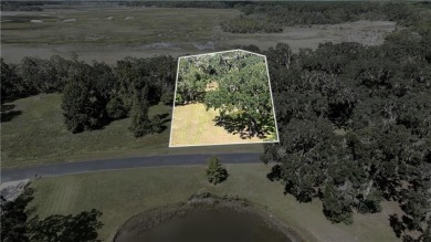 The ole sayin', He's not makin' anymore, so grab it while you on Sapelo Hammock Golf Club in Georgia - for sale on GolfHomes.com, golf home, golf lot