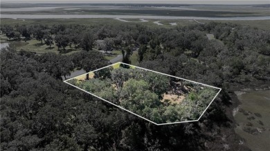 The ole sayin', He's not makin' anymore, so grab it while you on Sapelo Hammock Golf Club in Georgia - for sale on GolfHomes.com, golf home, golf lot