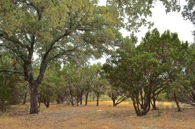 Take advantage of this incredible opportunity to create your on Slick Rock Golf Course - Horseshoe Bay in Texas - for sale on GolfHomes.com, golf home, golf lot