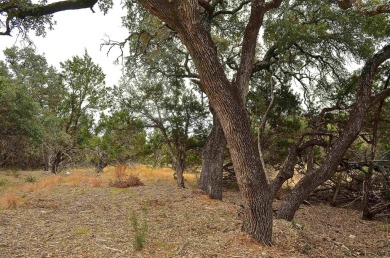 Take advantage of this incredible opportunity to create your on Slick Rock Golf Course - Horseshoe Bay in Texas - for sale on GolfHomes.com, golf home, golf lot