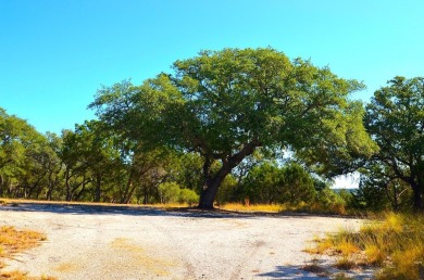Take advantage of this incredible opportunity to create your on Slick Rock Golf Course - Horseshoe Bay in Texas - for sale on GolfHomes.com, golf home, golf lot