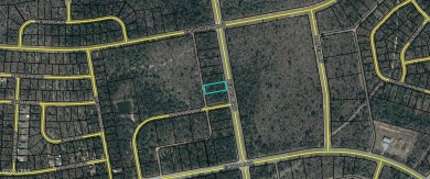 Prime commercial lot in Sunny Hills--over half an acre in a on Sunny Hills Golf and Country Club in Florida - for sale on GolfHomes.com, golf home, golf lot