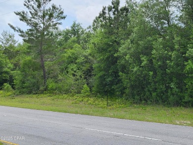 Prime commercial lot in Sunny Hills--over half an acre in a on Sunny Hills Golf and Country Club in Florida - for sale on GolfHomes.com, golf home, golf lot