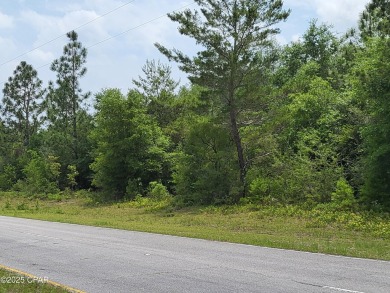 Prime commercial lot in Sunny Hills--over half an acre in a on Sunny Hills Golf and Country Club in Florida - for sale on GolfHomes.com, golf home, golf lot