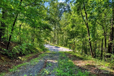 Premium Double Lot Opportunity with Long-Range Mountain Views - on Linville Falls Golf Club in North Carolina - for sale on GolfHomes.com, golf home, golf lot