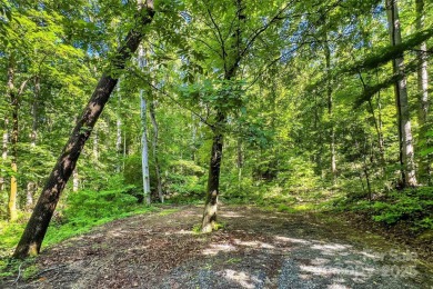 Premium Double Lot Opportunity with Long-Range Mountain Views - on Linville Falls Golf Club in North Carolina - for sale on GolfHomes.com, golf home, golf lot