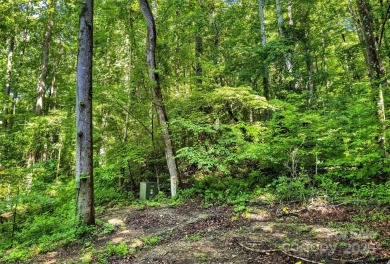 Premium Double Lot Opportunity with Long-Range Mountain Views - on Linville Falls Golf Club in North Carolina - for sale on GolfHomes.com, golf home, golf lot