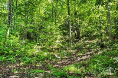 Premium Double Lot Opportunity with Long-Range Mountain Views - on Linville Falls Golf Club in North Carolina - for sale on GolfHomes.com, golf home, golf lot