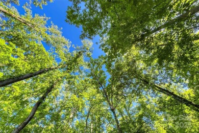 Premium Double Lot Opportunity with Long-Range Mountain Views - on Linville Falls Golf Club in North Carolina - for sale on GolfHomes.com, golf home, golf lot