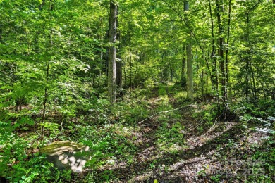 Premium Double Lot Opportunity with Long-Range Mountain Views - on Linville Falls Golf Club in North Carolina - for sale on GolfHomes.com, golf home, golf lot