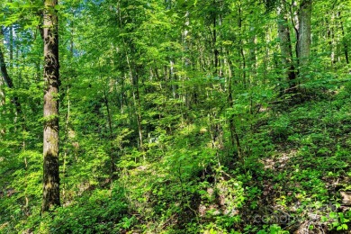Premium Double Lot Opportunity with Long-Range Mountain Views - on Linville Falls Golf Club in North Carolina - for sale on GolfHomes.com, golf home, golf lot