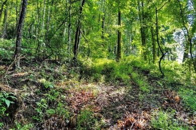 Premium Double Lot Opportunity with Long-Range Mountain Views - on Linville Falls Golf Club in North Carolina - for sale on GolfHomes.com, golf home, golf lot