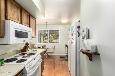 GORGEOUS 2-bedroom, 2-bath single-level ranch-style home in Sun on Union Hills Country Club in Arizona - for sale on GolfHomes.com, golf home, golf lot