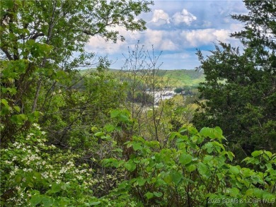 The *WOW* factor will be apparent as soon as you step through on The Club At Old Kinderhook in Missouri - for sale on GolfHomes.com, golf home, golf lot