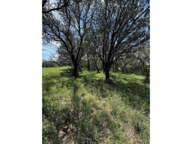 Beautiful lot located in the desirable Horseshoe Bay West on Ram Rock Golf Course in Texas - for sale on GolfHomes.com, golf home, golf lot