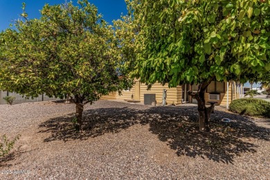This spacious home features a SPLIT floorplan w/ 3 BEDROOMS & 2 on Sun Lakes Country Club in Arizona - for sale on GolfHomes.com, golf home, golf lot