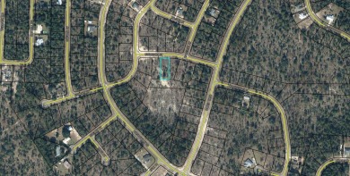 Nice .365 acre lot. Sunny Hills is an established subdivision on Sunny Hills Golf and Country Club in Florida - for sale on GolfHomes.com, golf home, golf lot