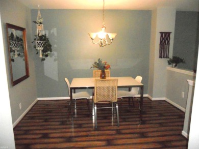 BEAUTIFULLY UPGRADED, SPOTLESS TOWNHOUSE CONDO IN CENTRAL SHELBY on Cherry Creek Golf Club in Michigan - for sale on GolfHomes.com, golf home, golf lot