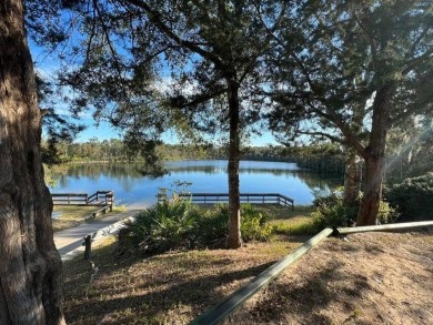 Nice .503 acre lot. Sunny Hills is an established subdivision on Sunny Hills Golf and Country Club in Florida - for sale on GolfHomes.com, golf home, golf lot