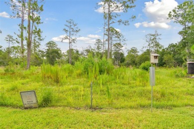 DRY AND DAMAGE FREE AFTER HURRICANES MILTON AND HELENE!  Settle on East Lake Woodlands Country Club in Florida - for sale on GolfHomes.com, golf home, golf lot