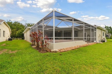 DRY AND DAMAGE FREE AFTER HURRICANES MILTON AND HELENE!  Settle on East Lake Woodlands Country Club in Florida - for sale on GolfHomes.com, golf home, golf lot